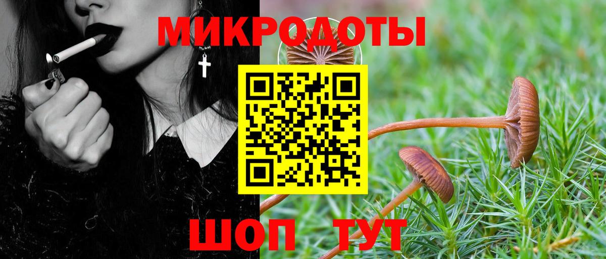 как найти закладки  Галлюциногенные грибы мухоморы  Вход с VPN  Бузулук 