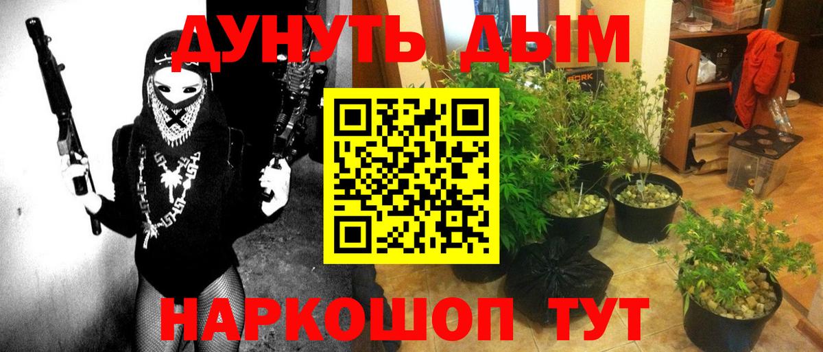 Канабис OG Kush Бузулук